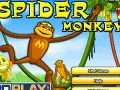 Spider Monkey Game
